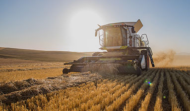 Concours des lycées agricoles 2026-2027